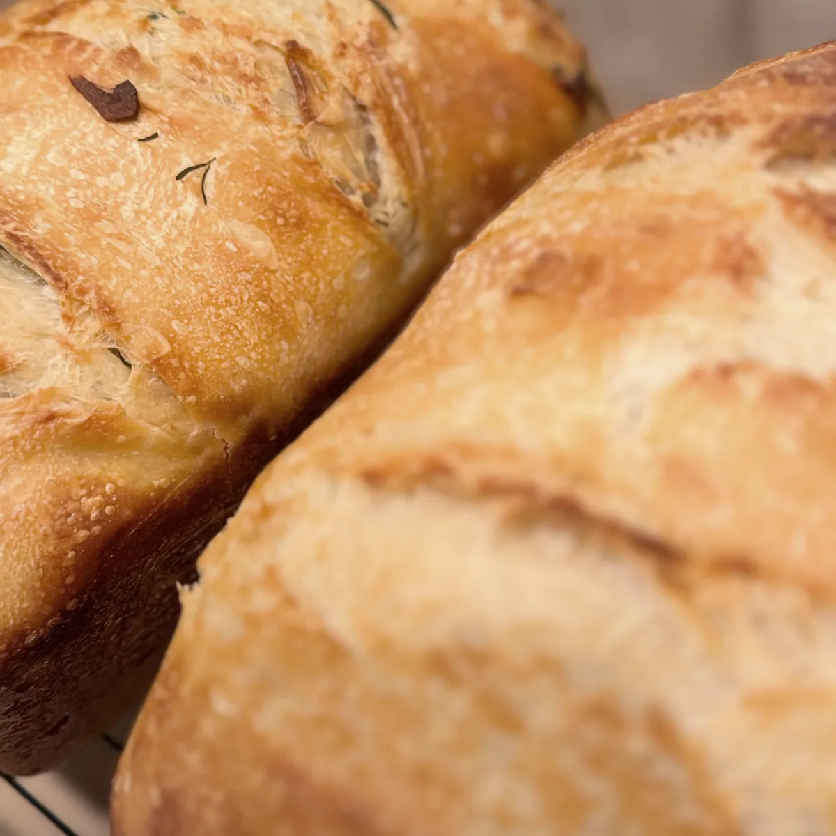Two round PinCH sourdough loaves